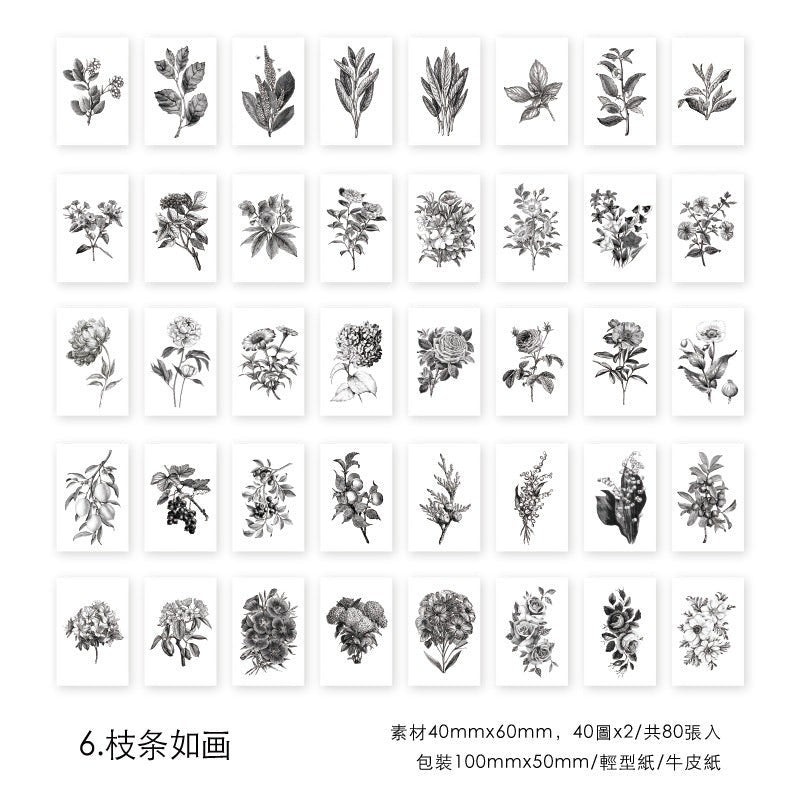 StationeryHaul black and white botanical sticker set featuring vintage floral and branch illustrations for journaling