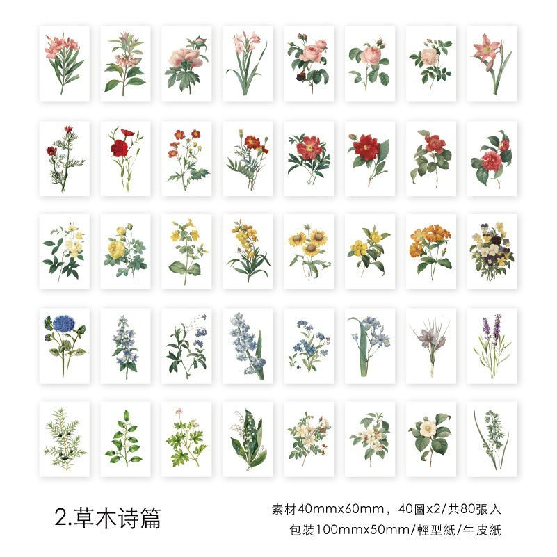 StationeryHaul botanical sticker set featuring vintage-style floral illustrations on light paper for scrapbooking.