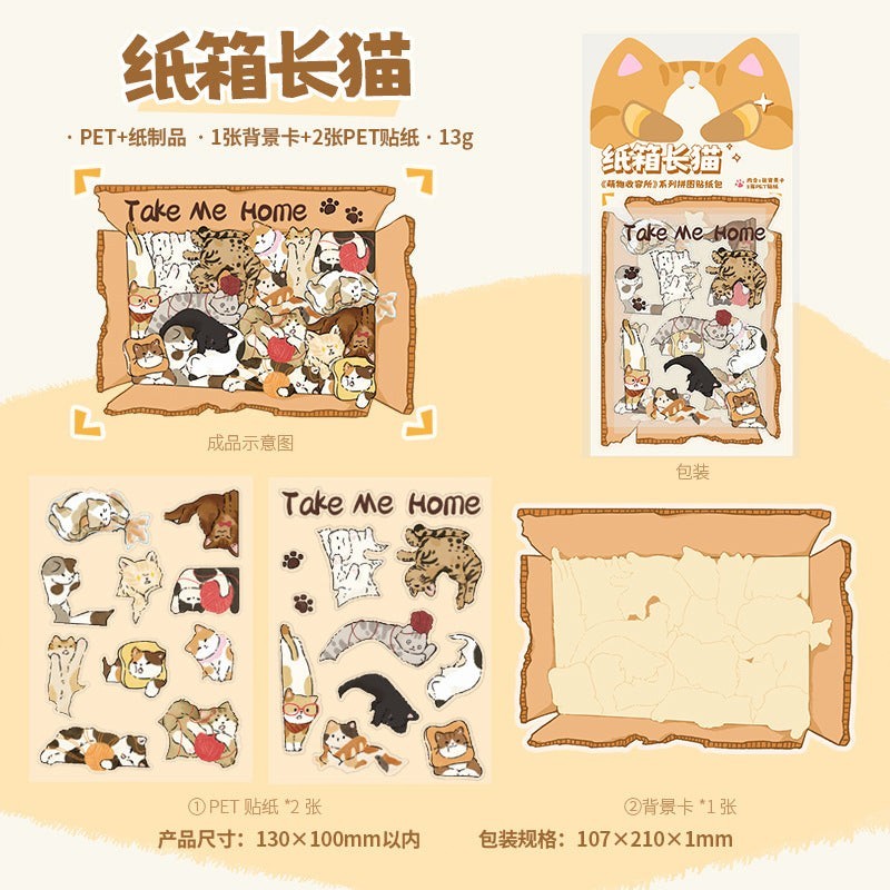 StationeryHaul cute cat stickers in a box, featuring various cat breeds and playful designs on durable, waterproof PET material.